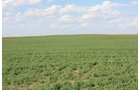 Property photo 25 - LAND AUCTION, 3255+/- Acres offered in 13 Tracts